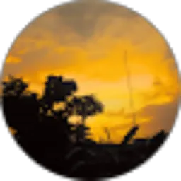 Review From FAIZ DZIKRAN