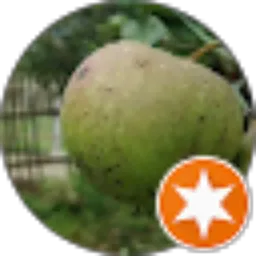 Review From ZAINUL ABIDIN