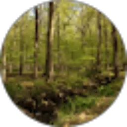 Review From sobat farras