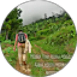 Review From Andika Ramadhan