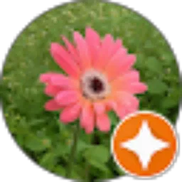 Review From Riska Setia