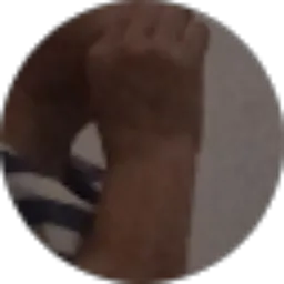 Review From Mas Acein