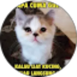 Review From Elok Bambang