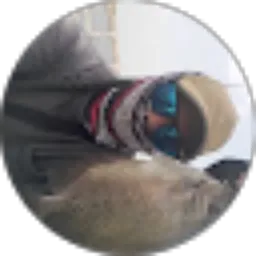 Review From Yosua Yulianto