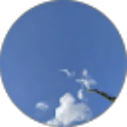 Review From Syafa Oktarina