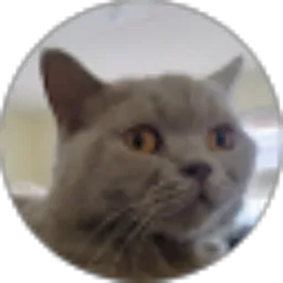 Review From Delia Septiana