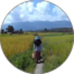 Review From SADLI sadli