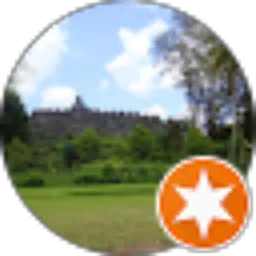 Review From Dany Wachjudi