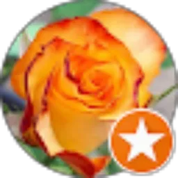 Review From Prapti Banjar