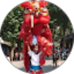 Review From Captain tiger