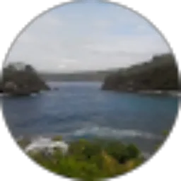 Review From Rubz 85