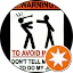 Review From Sri Bintoro