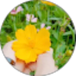 Review From Nur ayni Harahap