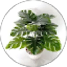 Review From umi florist