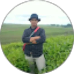 Review From Bagas Maulana