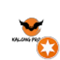 Review From Kalong Project