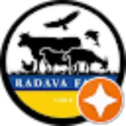 Review From DON RADAVA