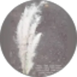 Review From Resty Febrianti AH