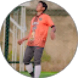 Review From Bambang Purnomo