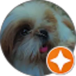 Review From Jovid Amadeus