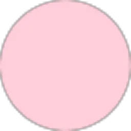 Review From Ammara Zihni