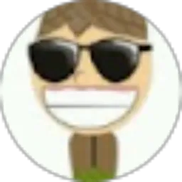 Review From Eko Kusumo