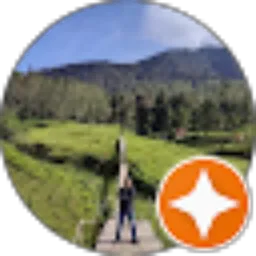 Review From Sulistiadi