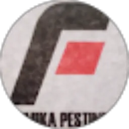 Review From fumika pestindo