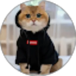 Review From rabia aftadina