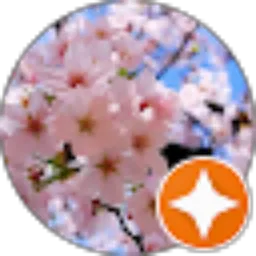 Review From Amalia Yuli Astuti