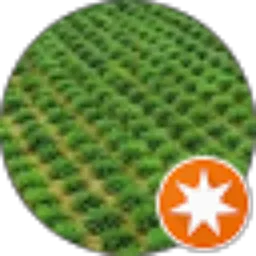 Review From Andre Barus