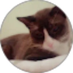 Review From Yusvani Nur Rohmah