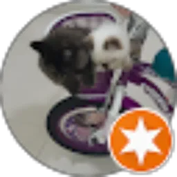 Review From Diah Utari