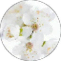 Review From Nuhafatik saadah Rangkuti