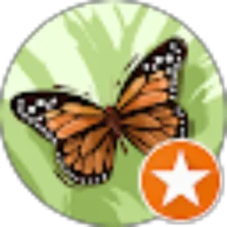 Review From Setio Anto