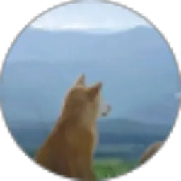 Review From maevy smp8c