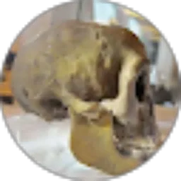 Review From IMAMOSIK