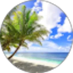 Review From Renenet Braham