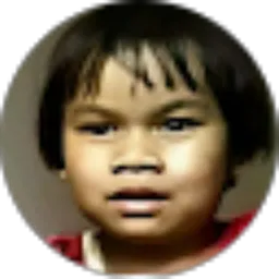 Review From Wibi River