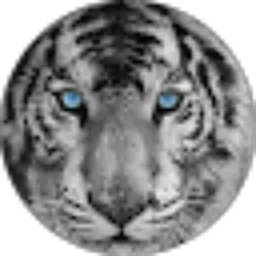 Review From Tiyang Bodo