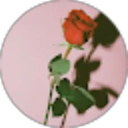 Review From Deby Sentiono