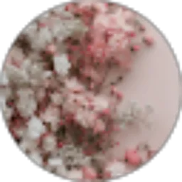 Review From 20_2051_Fahrini Nafisah