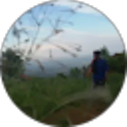 Review From Muhamad Reza