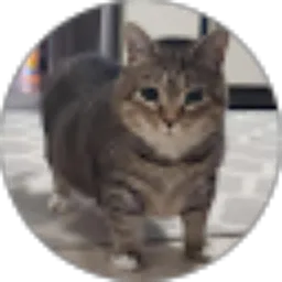 Review From Nursita Diah