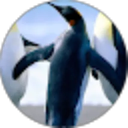 Review From Rahmadiani Hirata