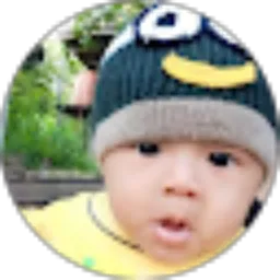 Review From Niko Agustino