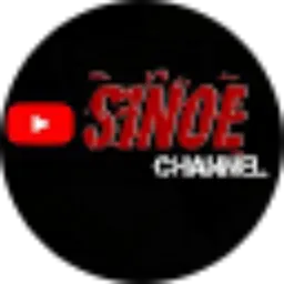 Review From SinOE Channel