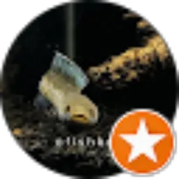 Review From ofishboy