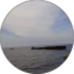 Review From Ahmad Habibi