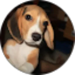 Review From Catherine Fransisca